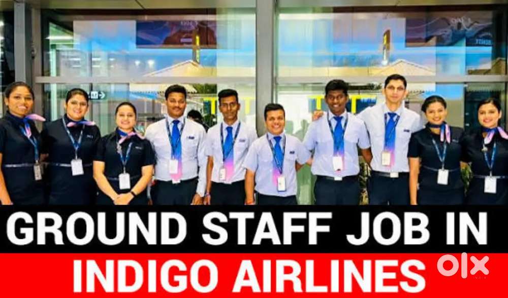 Domestic/International Airport Ground Staff Jobs in Indigo Airlines