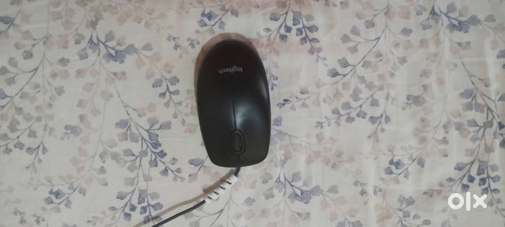 Zebronics keyboard and Logitech mouse