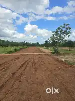 Land for sale budhireddlapalem near gullepalli marripalem,sabbavaram
