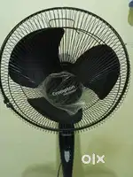 Crompton black Stand Fan