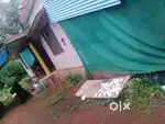 House and plot for sell