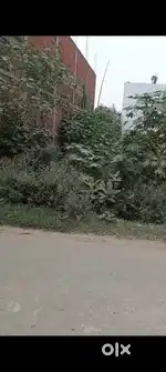 Sell for Plot