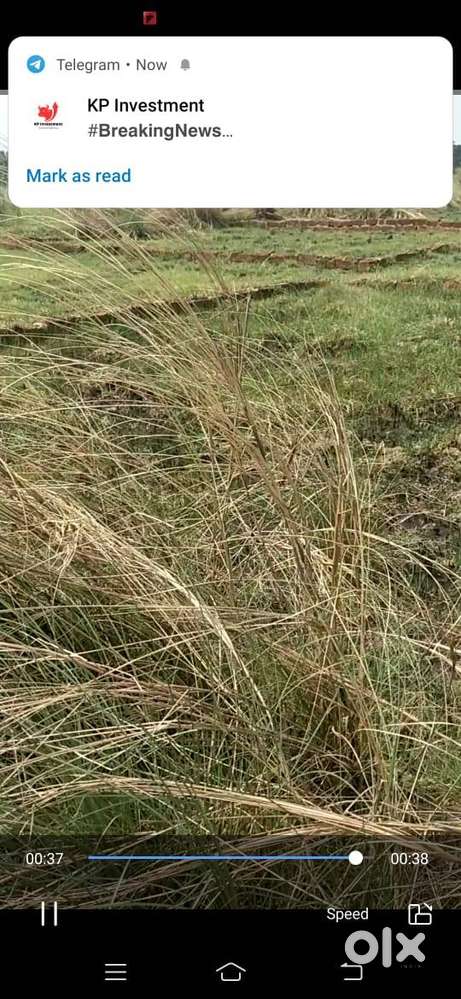 Genuine Plot with boundary wall