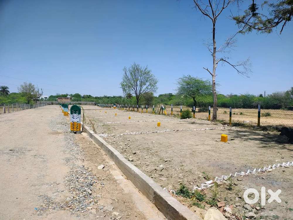 Sector 14 ( near Jogi talab )