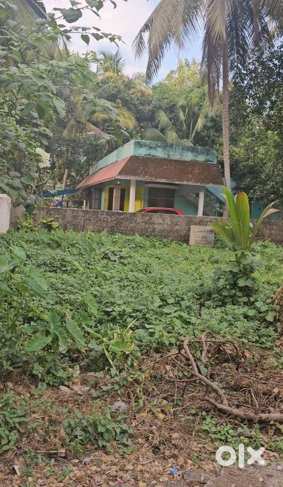3.5 Cents Plot with well & compound wall - Vadakekotta - Tripunithura