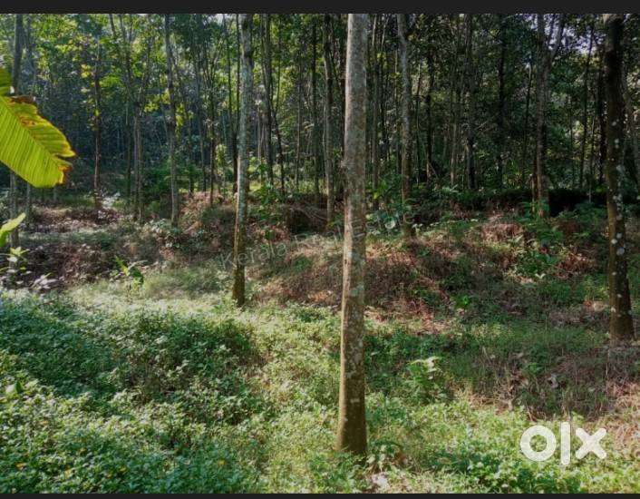 10 cent plot in Palampetra,Pottassery,Mannarkkad ,