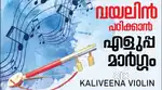 Kaliveena violin
