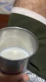 चाय का ठेला और फ़ूड ठेला