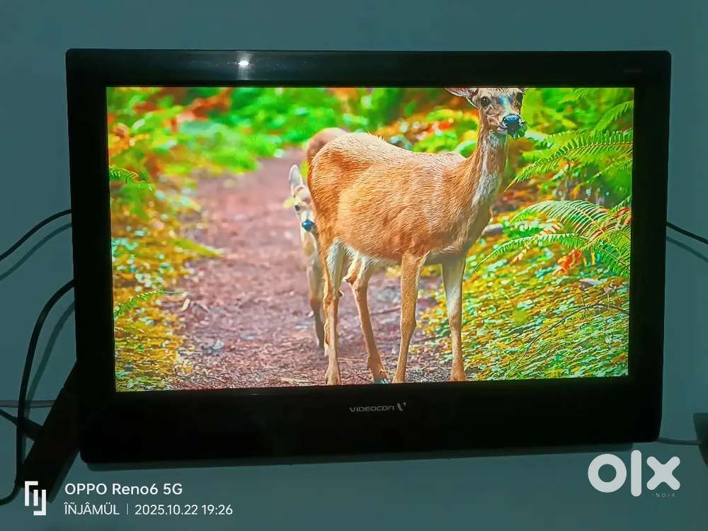 Good condition Tv Videocon 19 inch tv with remote full working sell