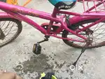 Bycycle boys