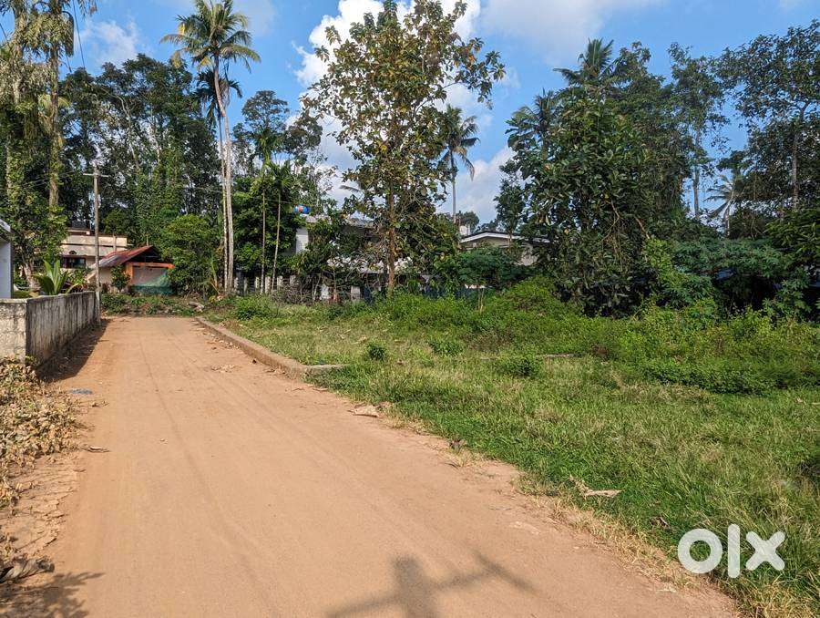 House plot 6 cents near Ettumanoor-Vempally 2.25 lakh/cent
