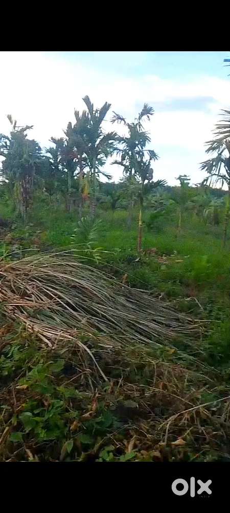 Prime location land for Sale.