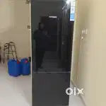 Fridge 500 liter