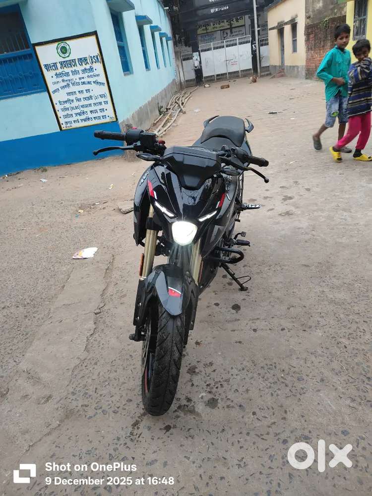 N160 , 16 months old