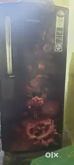 Sale fridz
