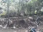 50 cent Rubber Estate (road access available, divided into 4 plots) )