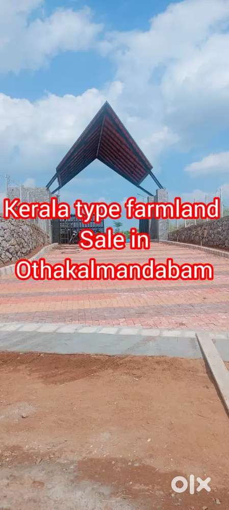 Low budget price DTCP approved