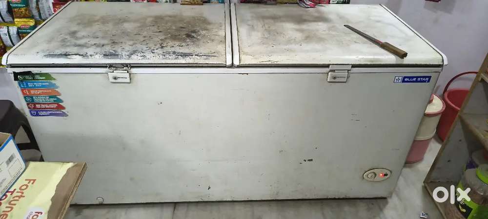 Blue star deep freezer