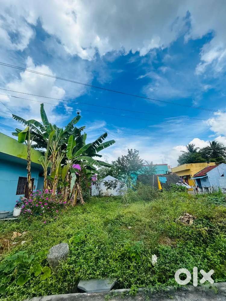 HOUSE SITE FOR SALE – GAJELNAYEKANPATTI (1250 Sq Ft)