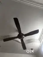 Ceiling Fans