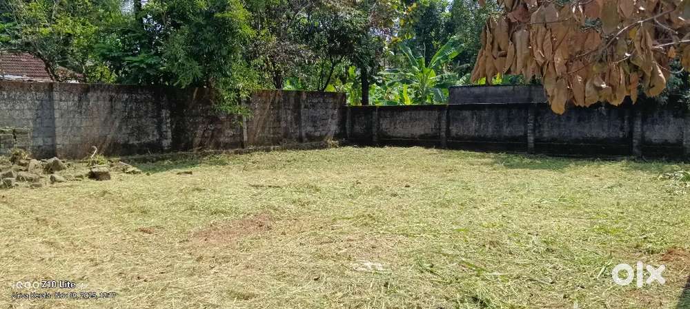 Eranakulam edapilly 4 cent house plot