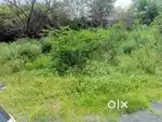 Plot for sale.located in pachperi civil line near RDVV