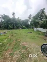 12 Cents Plot for Sale in Tripunithura