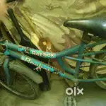 Cycle hercules