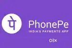 Business Devlopment Executive in PhonePe