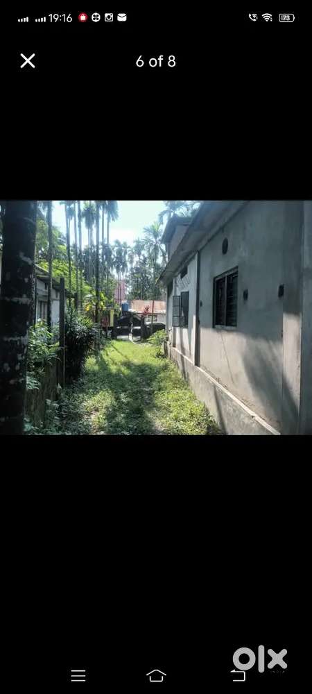 Birpara sharda pally