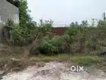 Plot Sale at Atwal Colony (35X40)