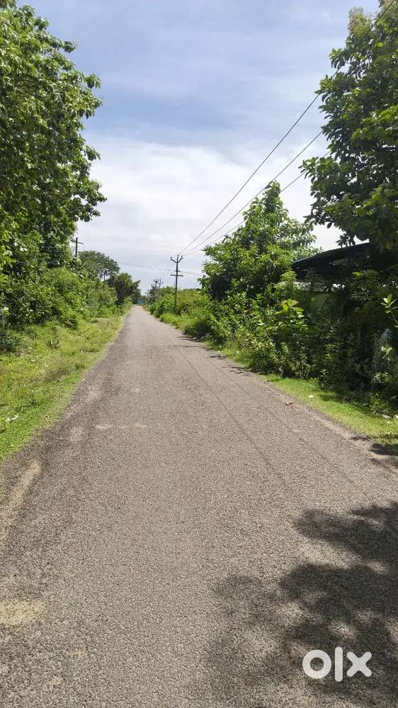 Land for sale one ground