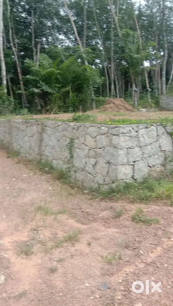 നാല് സെൻറ് എട്ടര ലക്ഷം രൂപയ്ക്ക്