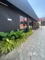 Need chef for cafe