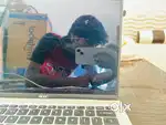 Laptop acer a1 condition no damage 1 year plus old