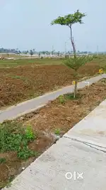 రాజమండ్రి విమానాశ్రయం ను ఆనుకొని 100 గజాలు 6,50,000 మాత్రమే