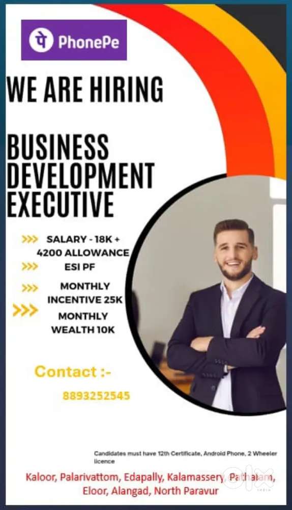 BUISNESS DEVELOPMENT EXECUTIVE