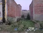 Best plot in 100 gaj