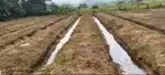 Fish Farming & Fish Rearing