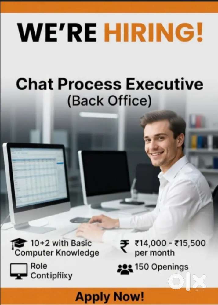 Back Office Executive
