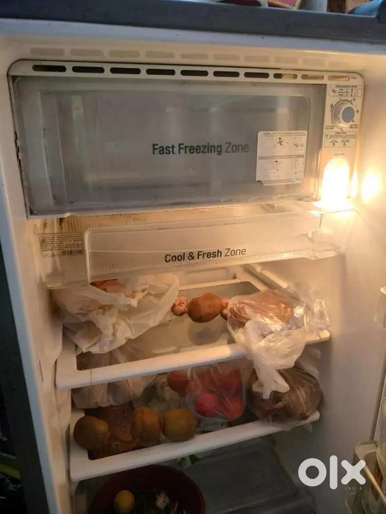 LG Fridge 4 years old