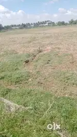Commercial land
