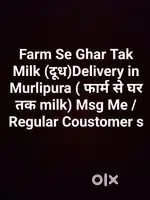 Milk delivery regular jinko chahiye ho morning evening to msg kre