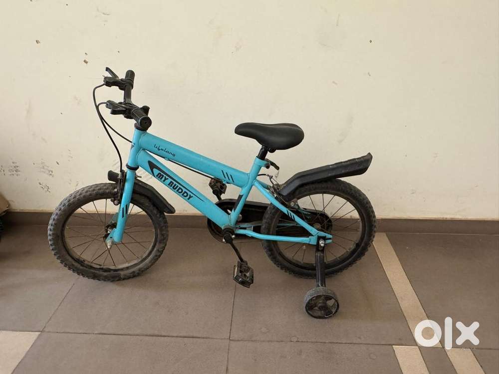 Lifelong buddy 14t cycle