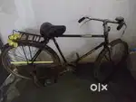 2023 old  age