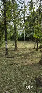 ഇരിഞ്ഞാലക്കുട സെന്റ് ജോസഫ് കോളേജിനടുത്ത് 6 സെന്റ് സ്ഥലം വിൽപ്പനയ്ക്ക്