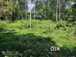Prime 22-Cent Plot in Kenichira – Ideal for Your Dream Home!