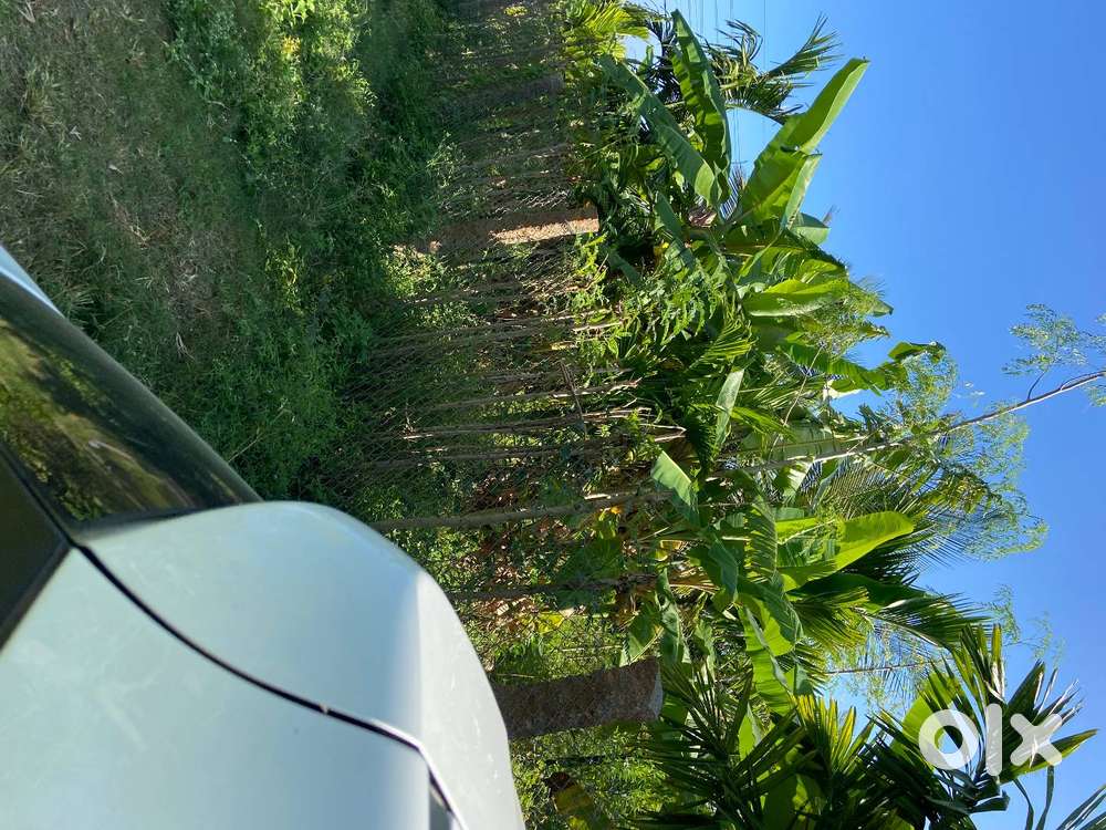 Farm house for sale. 60KM from Bangalore. 1000 aracnet trees. SH95