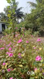 Space in a farm house For yoga or other classes