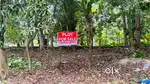 4 Cent plot for sale